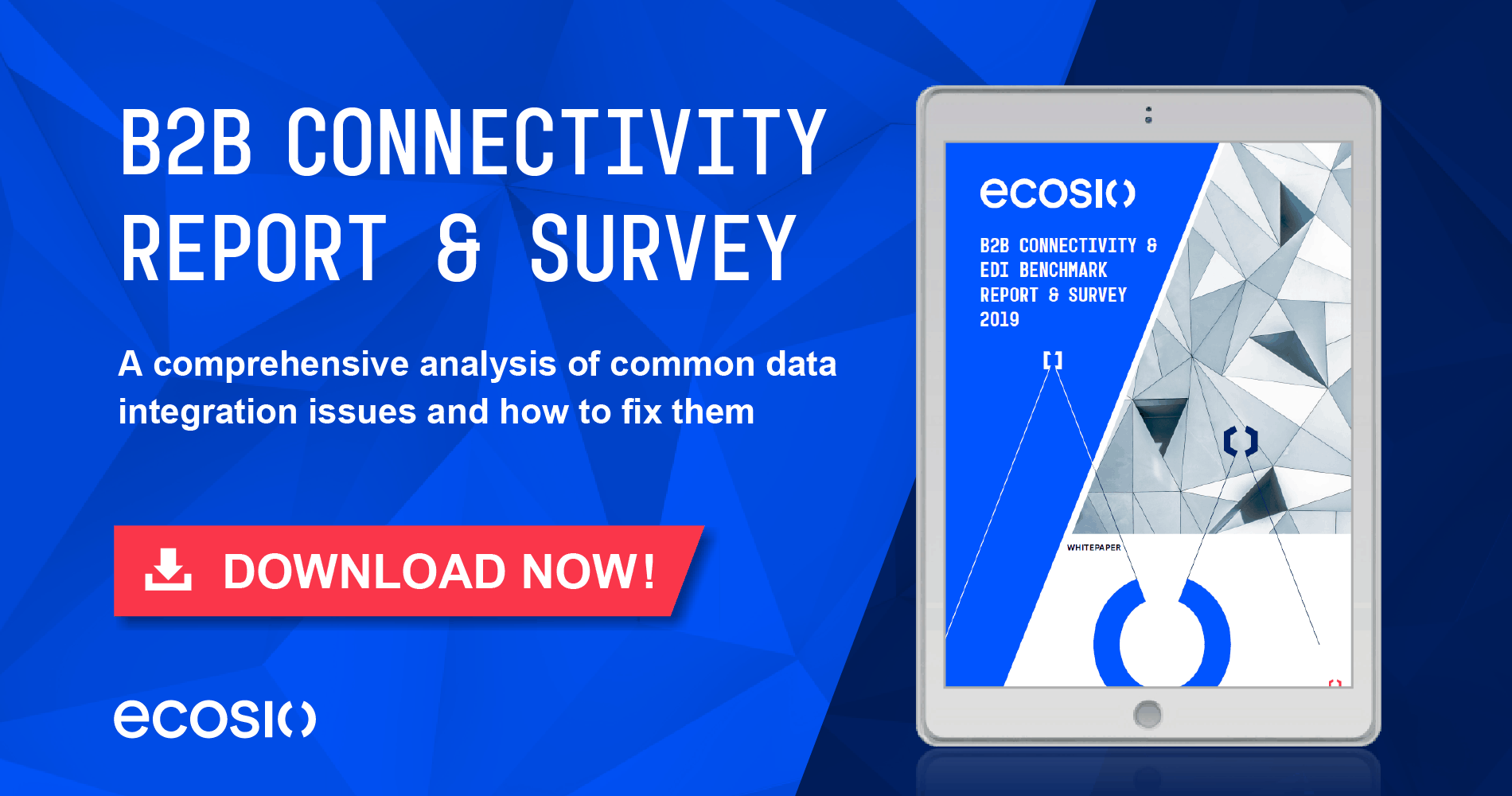 White Paper - B2B Connectivity and EDI Benchmark Report