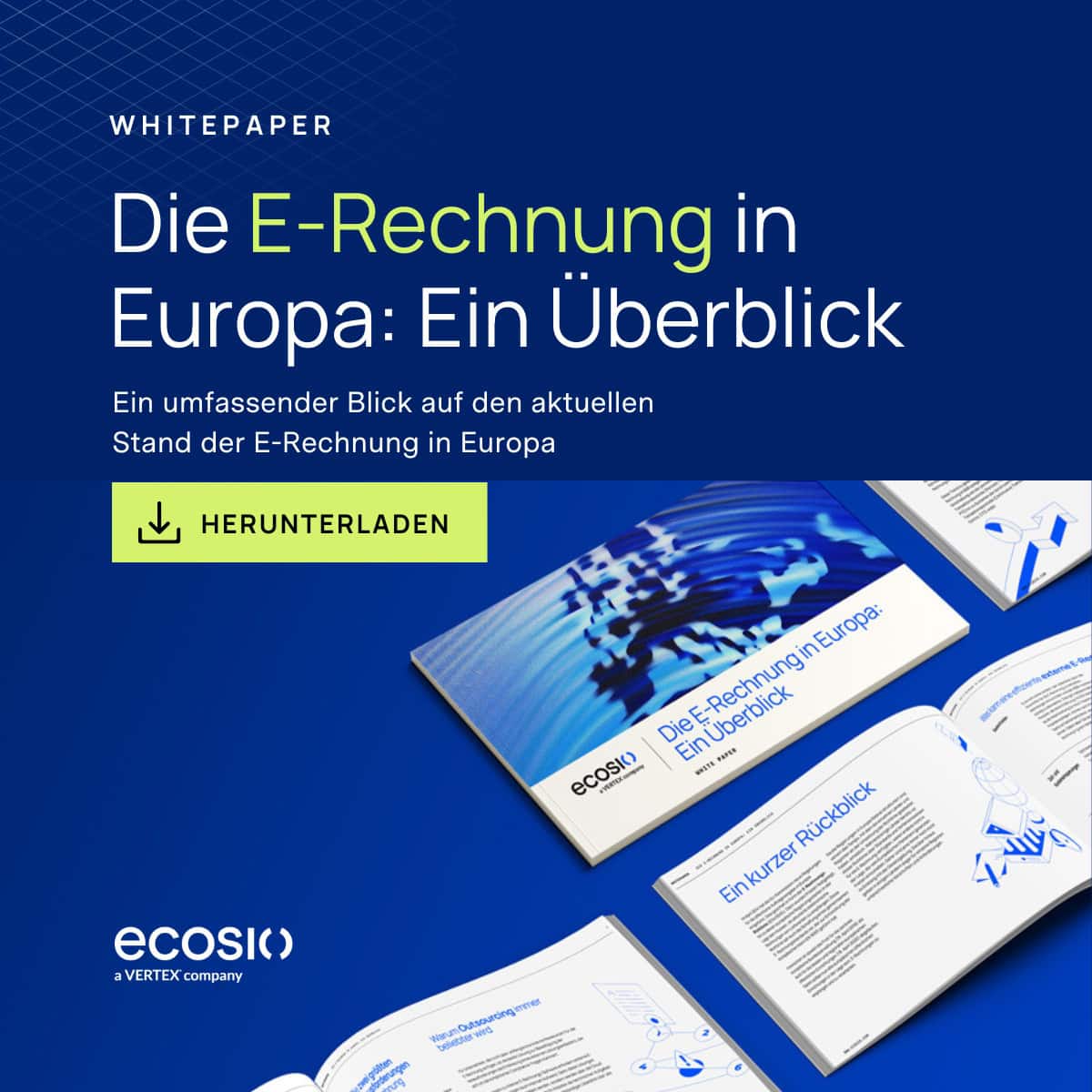 die-e-rechnung-in-europa-ein-ueberblick